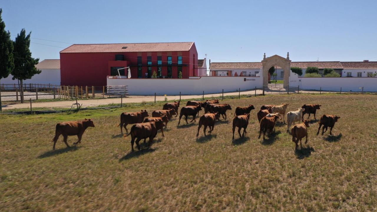 Villa Quinta da Gafaria Santarém Esterno foto
