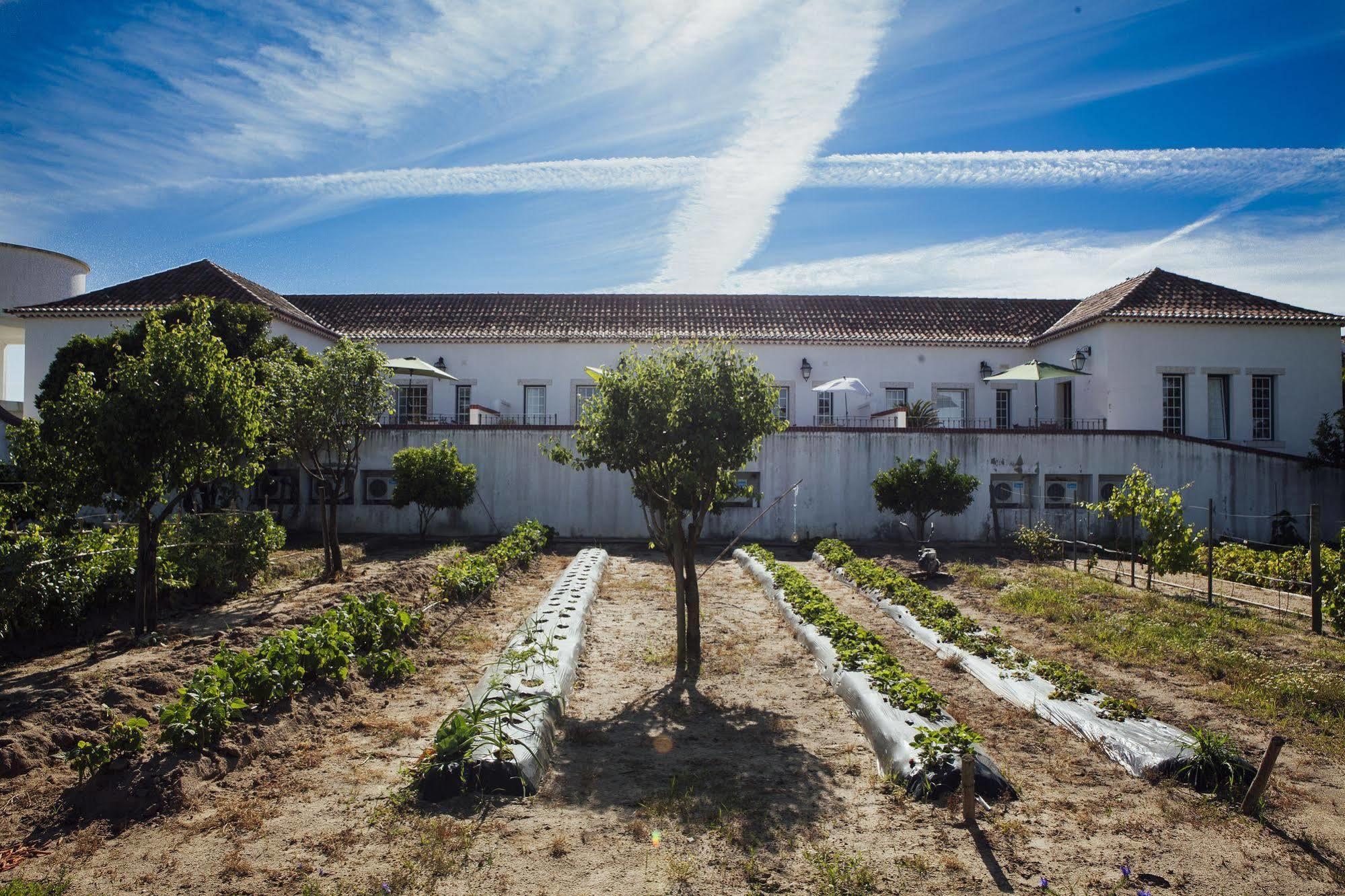 Villa Quinta da Gafaria Santarém Esterno foto