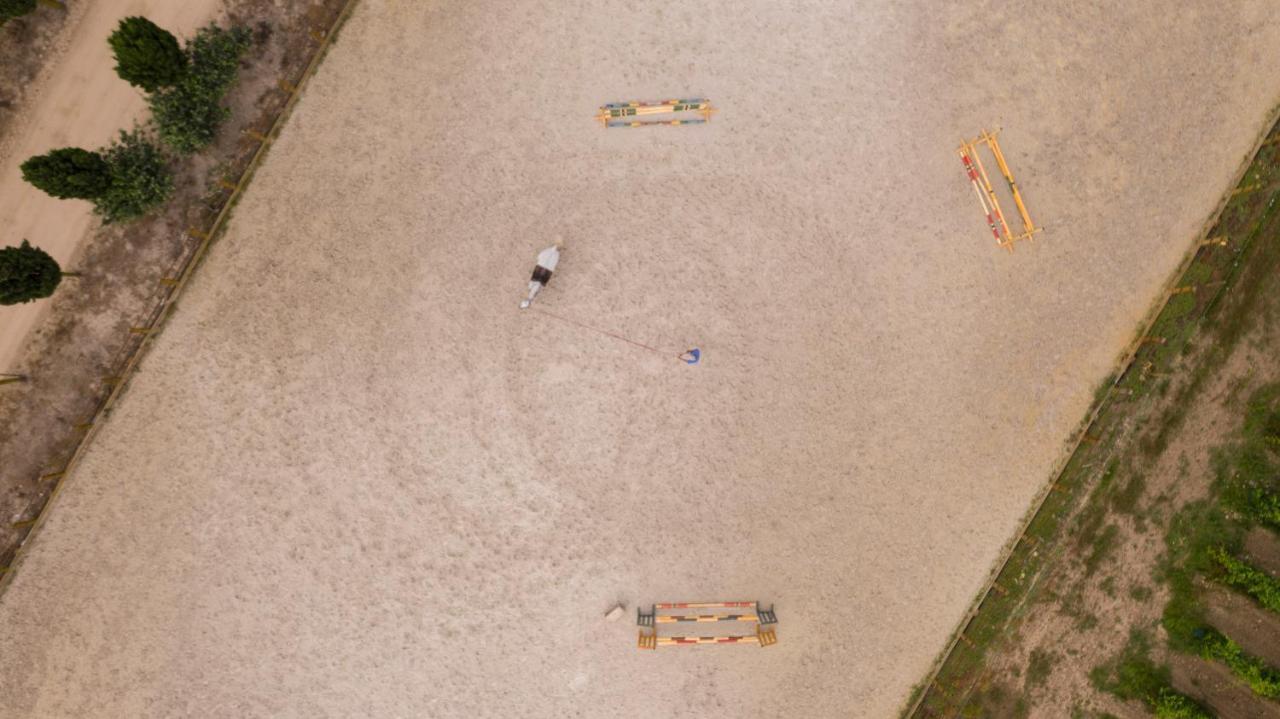Villa Quinta da Gafaria Santarém Esterno foto